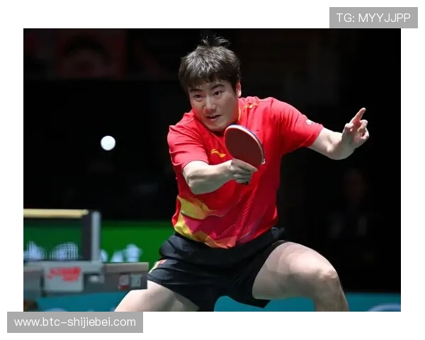 乒乓球世界杯赛事背后的故事与运动员的奋斗历程